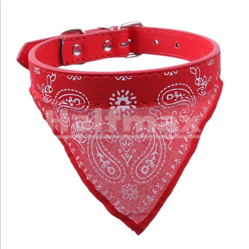 Collier bandana + laisse